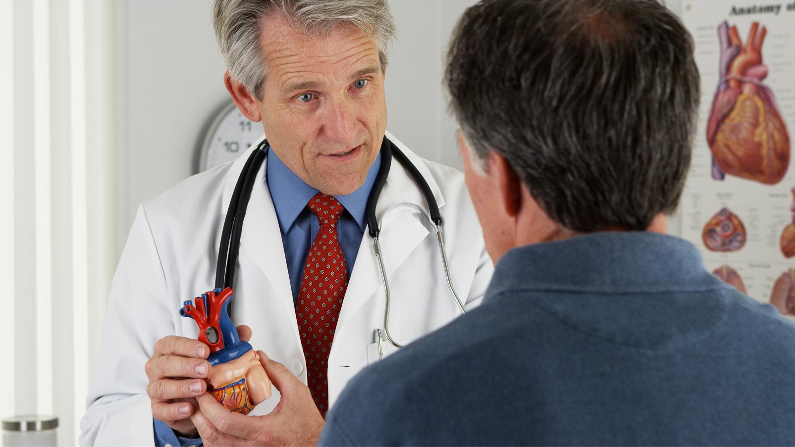 Professionista sanitario che mostra un modello anatomico del cuore a una persona durante una visita.