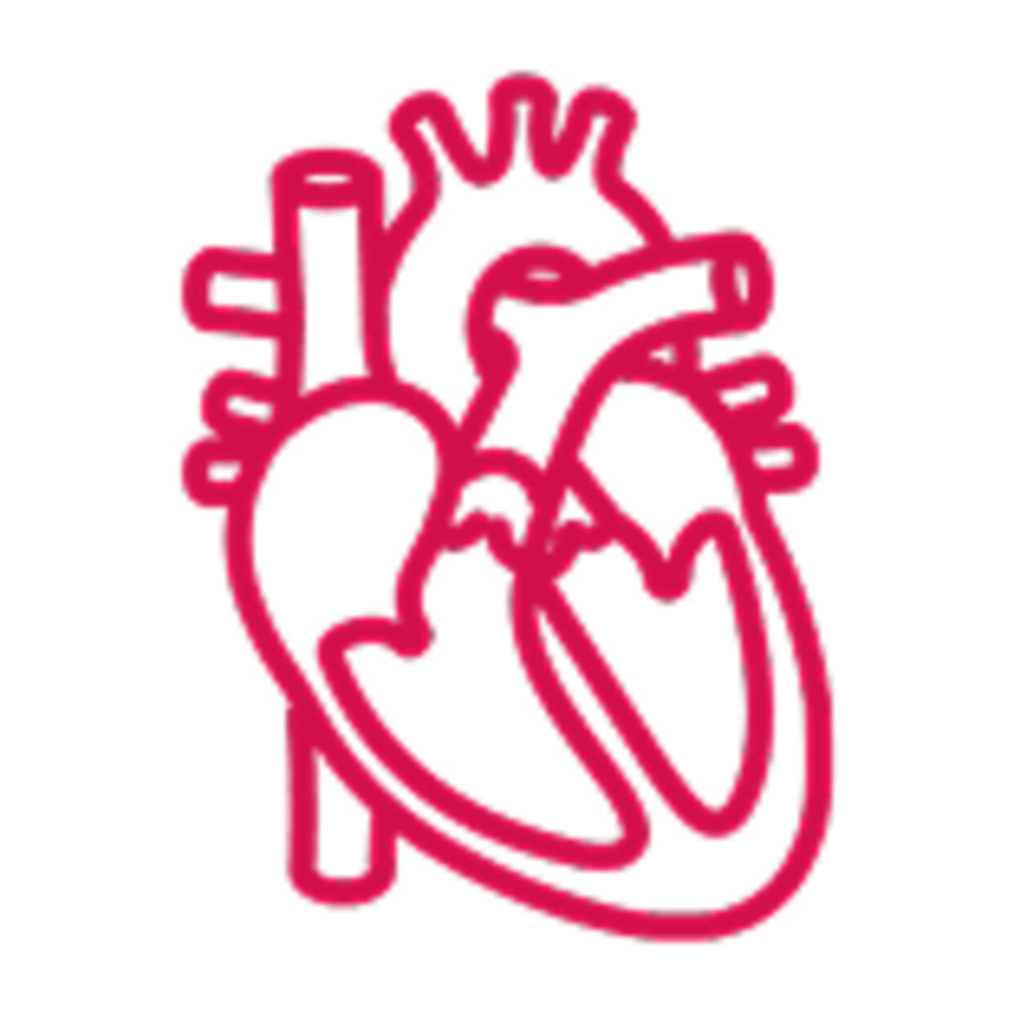 un'illustrazione di un cuore anatomico