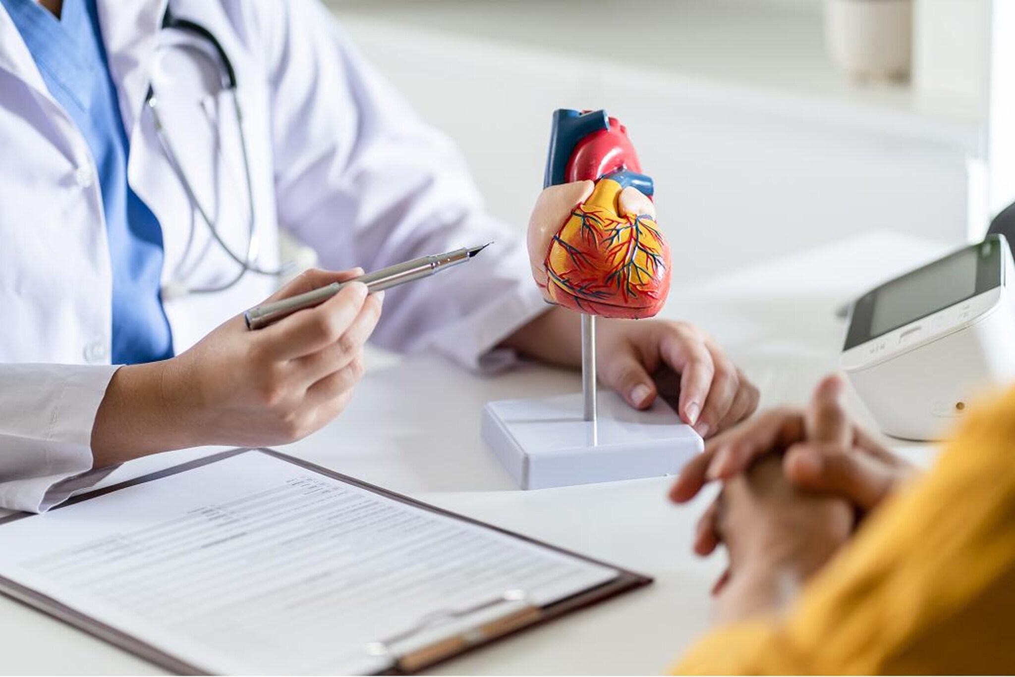 Professionista sanitario utilizza un modello anatomico del cuore e una penna durante un colloquio con una persona seduta.