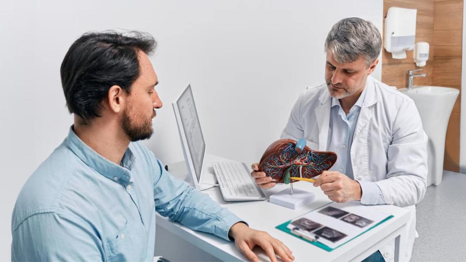 Professionista sanitario utilizza un modello anatomico del fegato durante un colloquio informativo con una persona assistita.