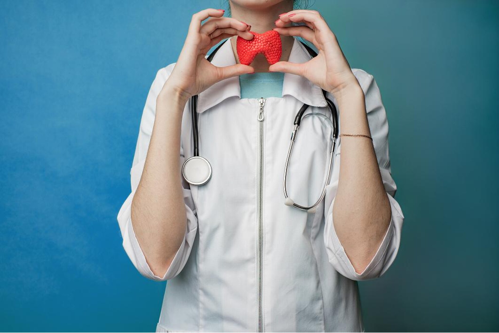 Professionista sanitario mostra un modello anatomico della tiroide per attività informativa o diagnostica.